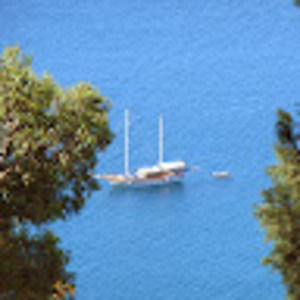 Meet your Posher, Bonnie